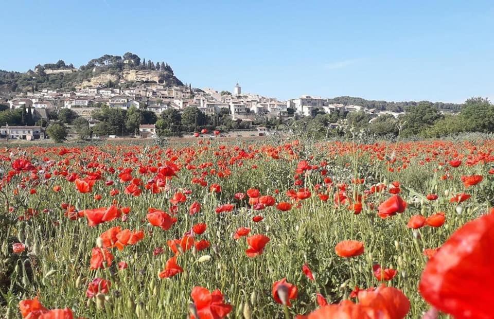 Appartamento L'AMANDERAIE à côté de LOURMARIN en LUBERON Cadenet Esterno foto