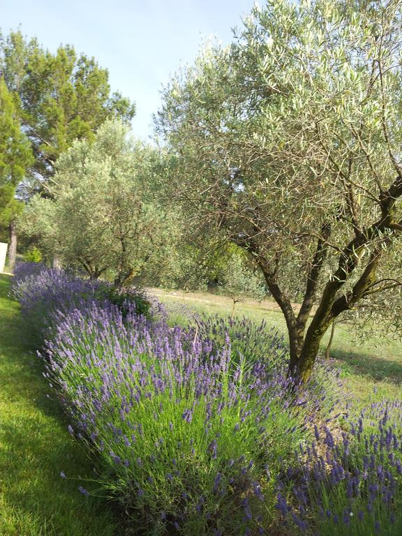 Appartamento L'AMANDERAIE à côté de LOURMARIN en LUBERON Cadenet Camera foto